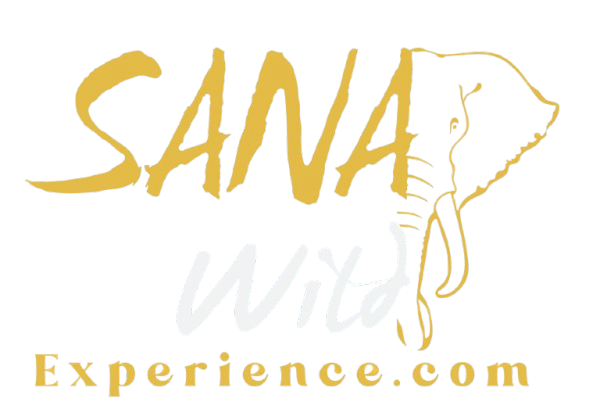 Sana Logo
